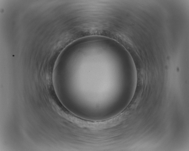 X0000070360039200606091042