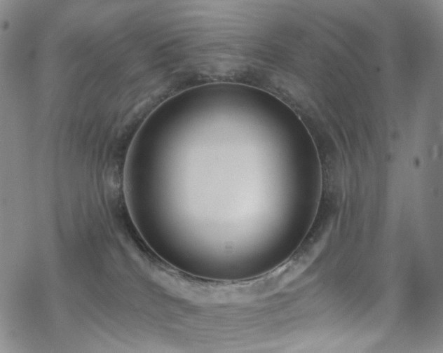 X0000070360040200606091042