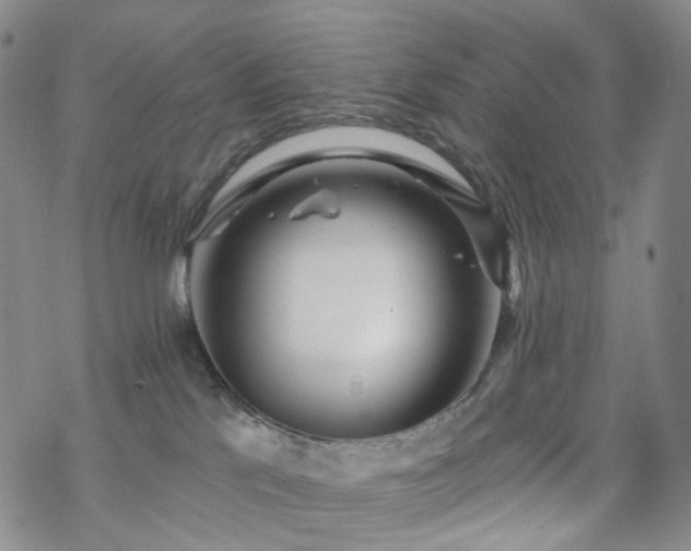 X0000070360041200606091042