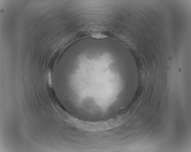 X0000070360042200606091042