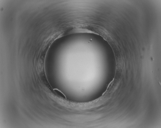 X0000070360043200606091042