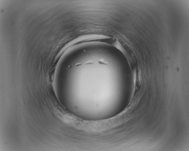 X0000070360045200606091042