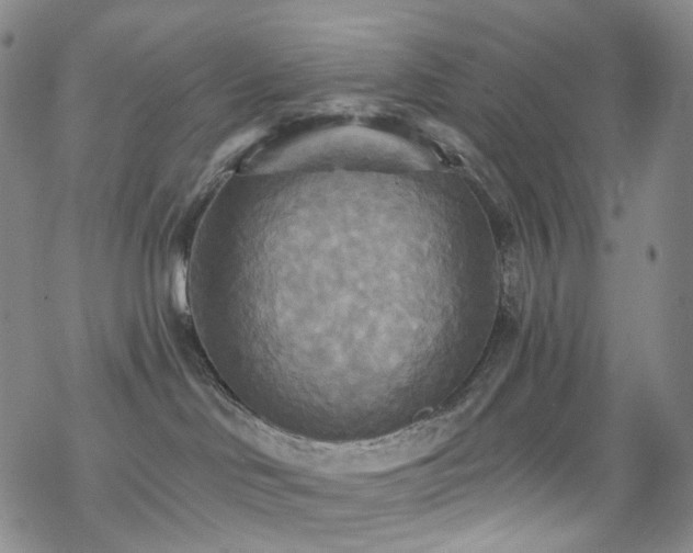 X0000070360046200606091042