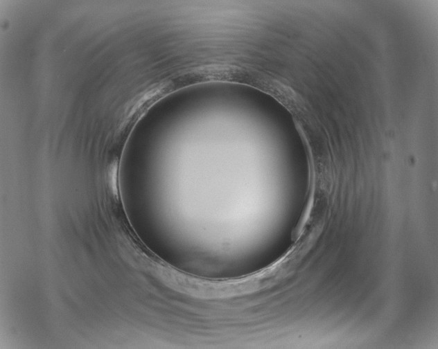 X0000070360047200606091042