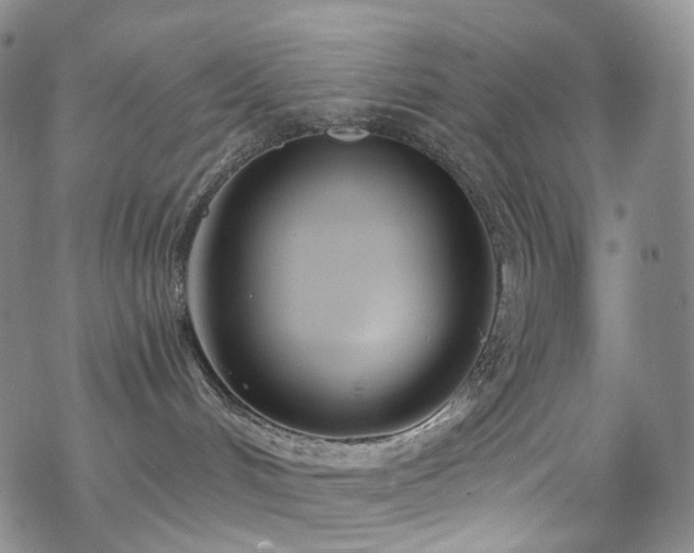 X0000070360048200606091042