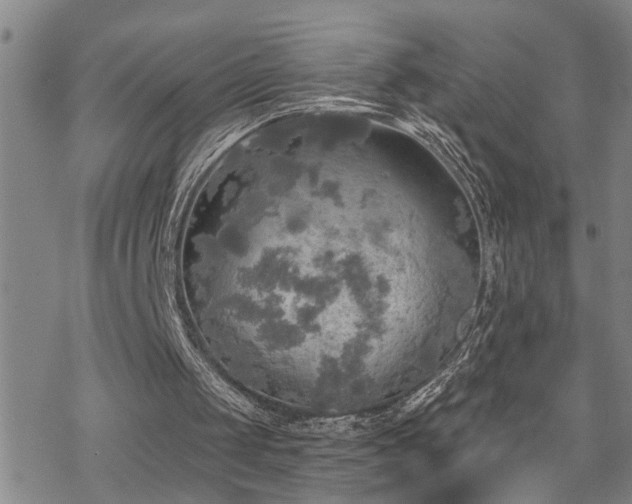 X0000070360049200606091042