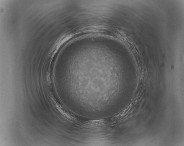 X0000070360050200606091042