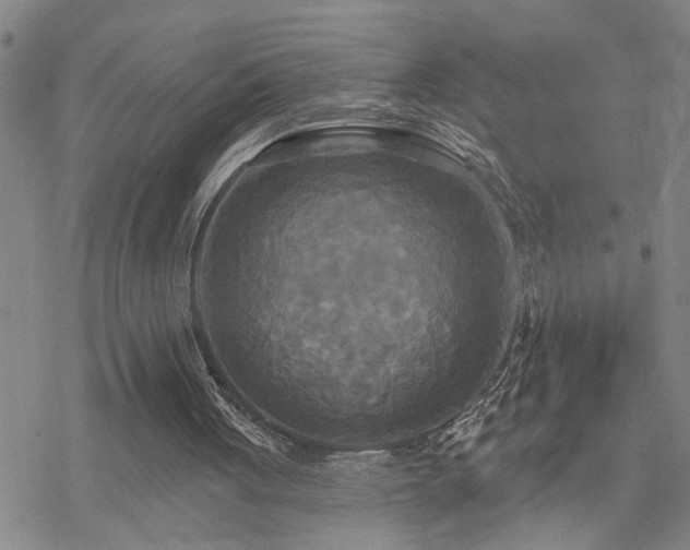 X0000070360051200606091042