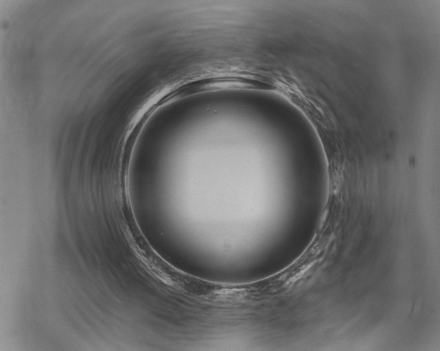 X0000070360052200606091042