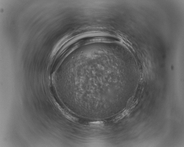 X0000070360053200606091042