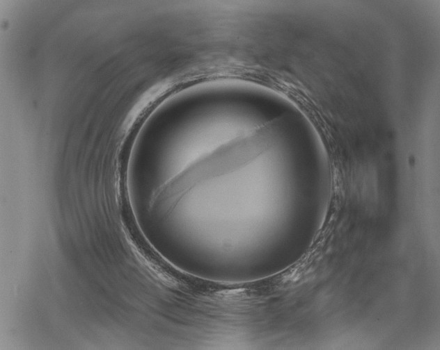 X0000070360054200606091042