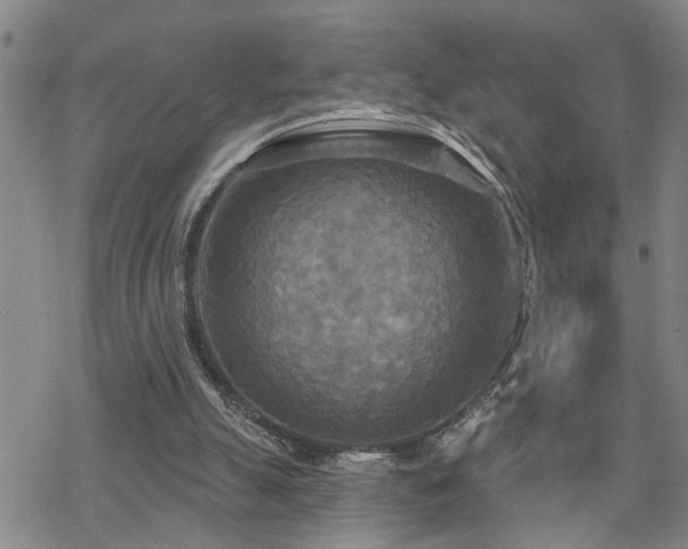 X0000070360055200606091042