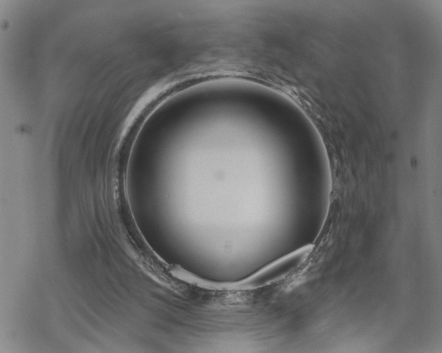 X0000070360056200606091042