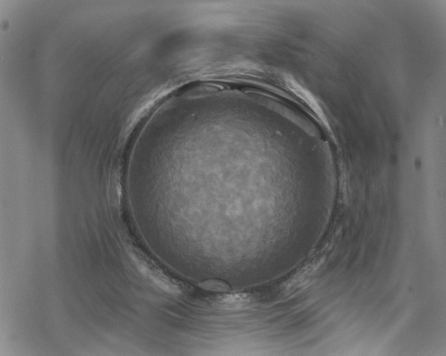 X0000070360059200606091042