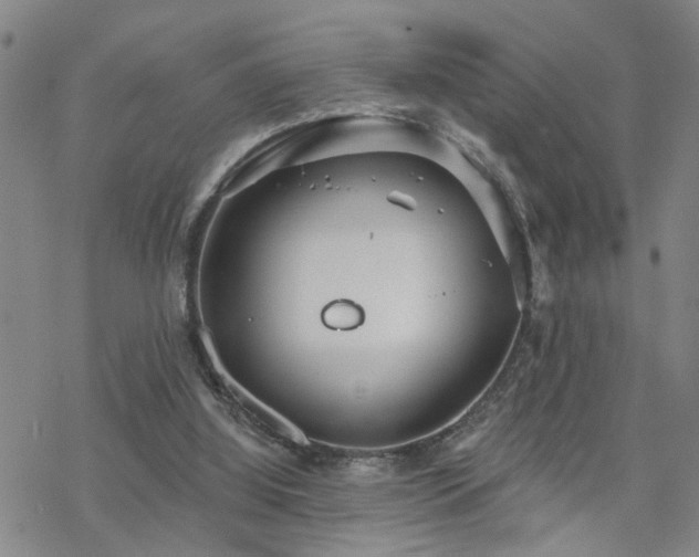 X0000070360060200606091042