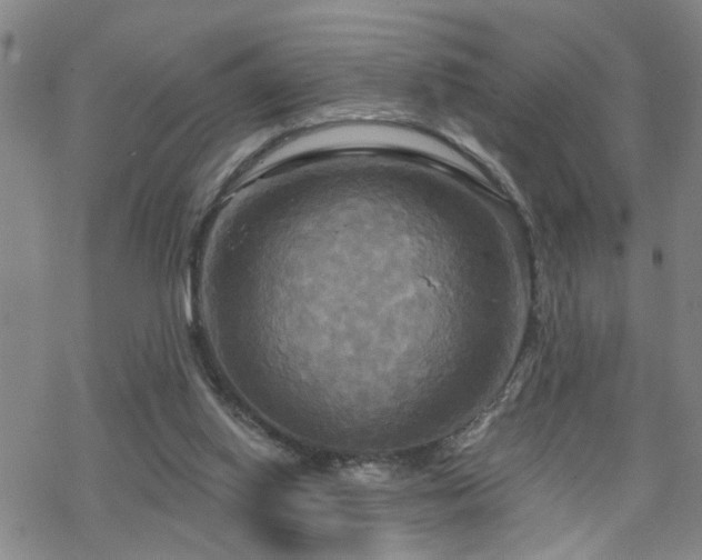 X0000070360062200606091042