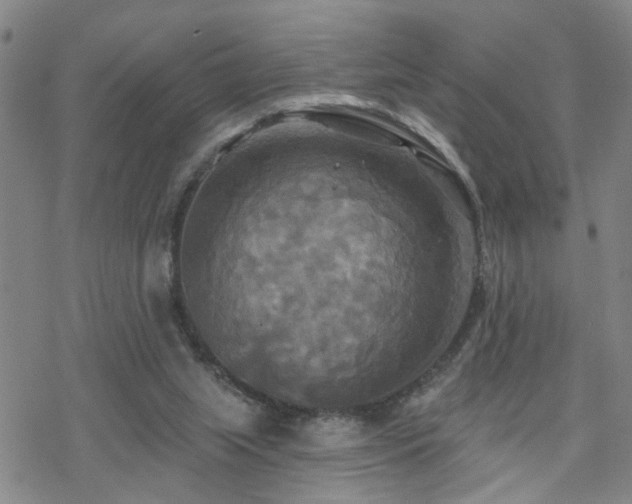 X0000070360063200606091042