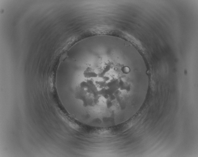 X0000070360065200606091042