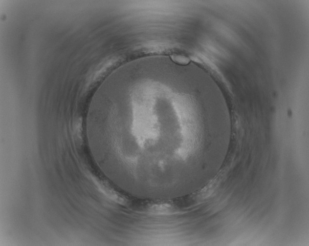 X0000070360066200606091042