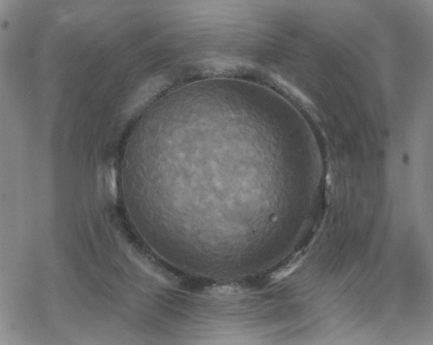 X0000070360067200606091042