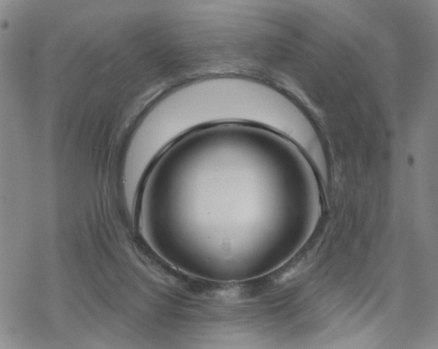 X0000070360068200606091042