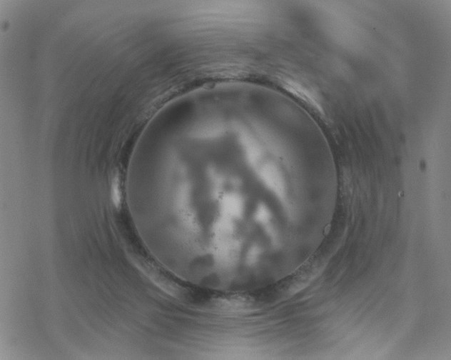 X0000070360069200606091042