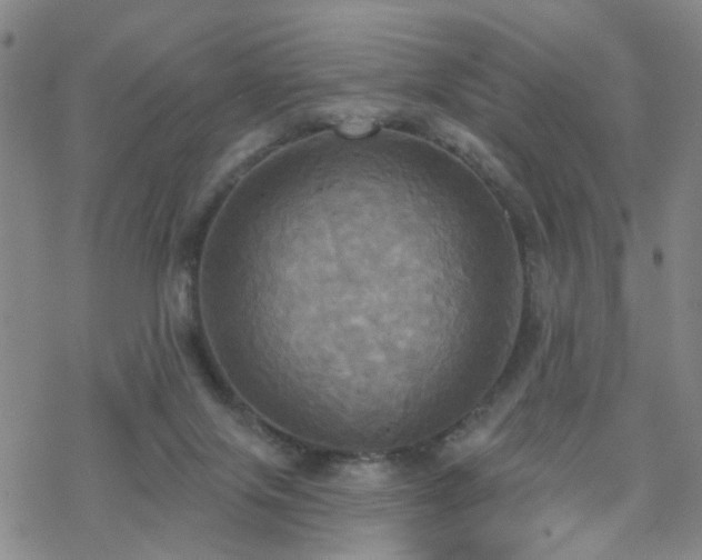 X0000070360071200606091042