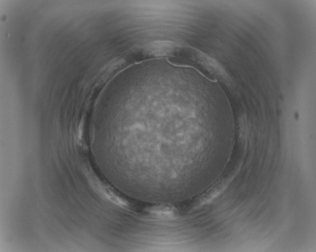 X0000070360073200606091042