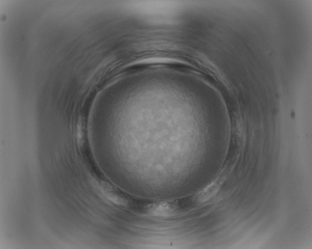 X0000070360074200606091042