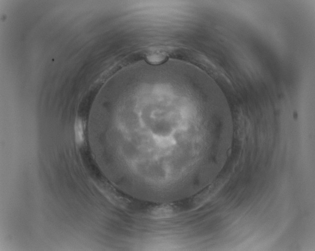 X0000070360075200606091042