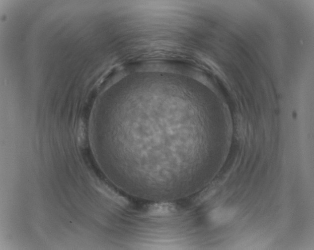 X0000070360077200606091042