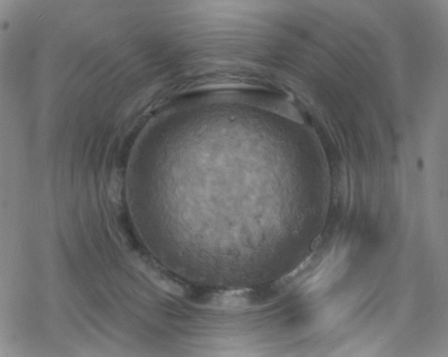 X0000070360078200606091042