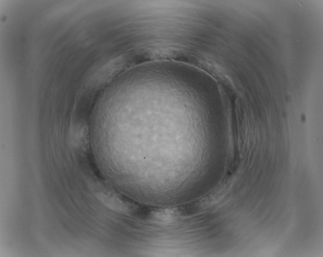 X0000070360079200606091042