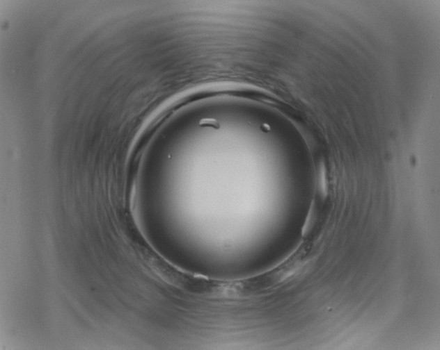 X0000070360080200606091042