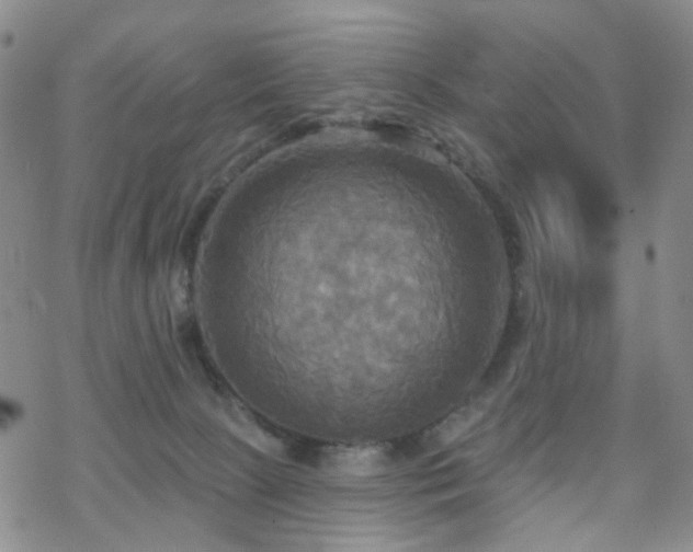 X0000070360081200606091042