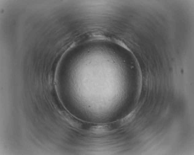 X0000070360082200606091042