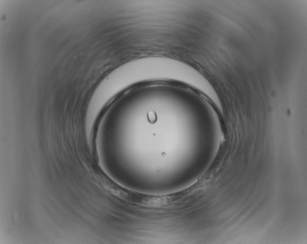 X0000070360084200606091042