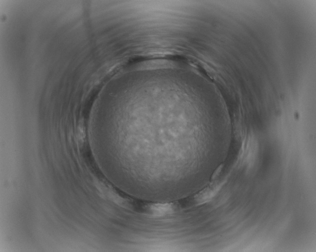 X0000070360085200606091042