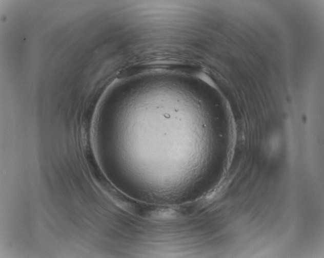 X0000070360086200606091042