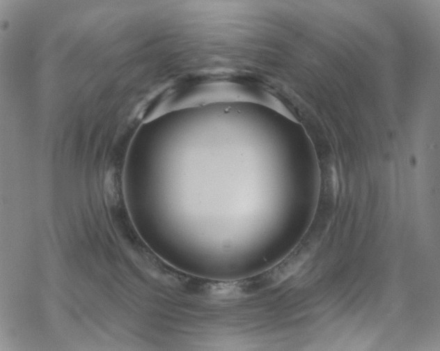 X0000070360088200606091042