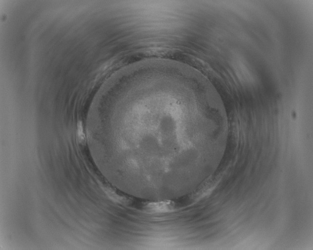 X0000070360089200606091042