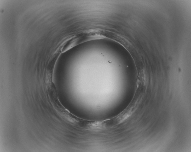 X0000070360092200606091042