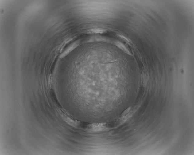 X0000070360093200606091042