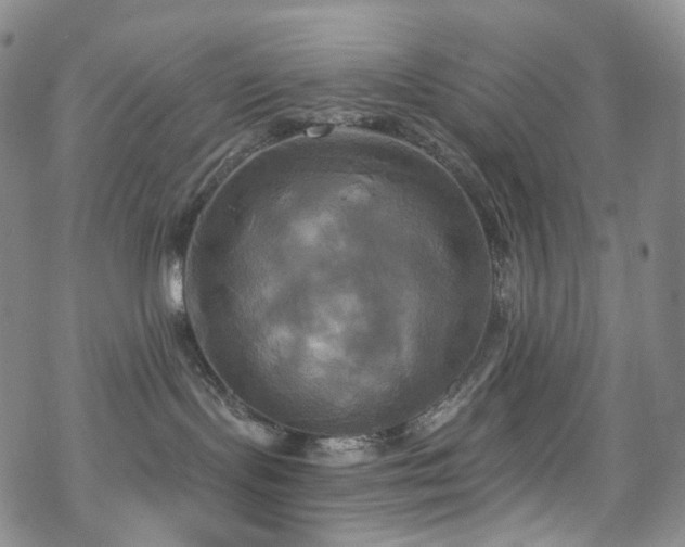 X0000070360095200606091042