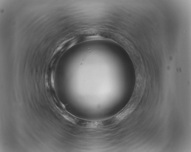 X0000070360096200606091042