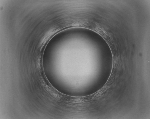 X0000070360098200606091042