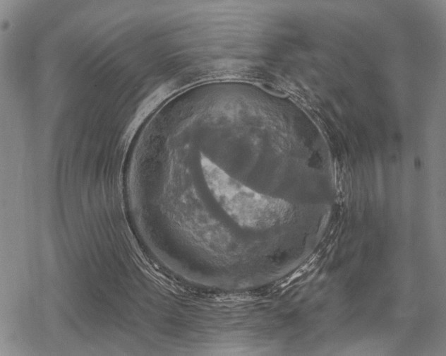 X0000070360099200606091042