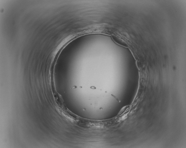 X0000070360100200606091041