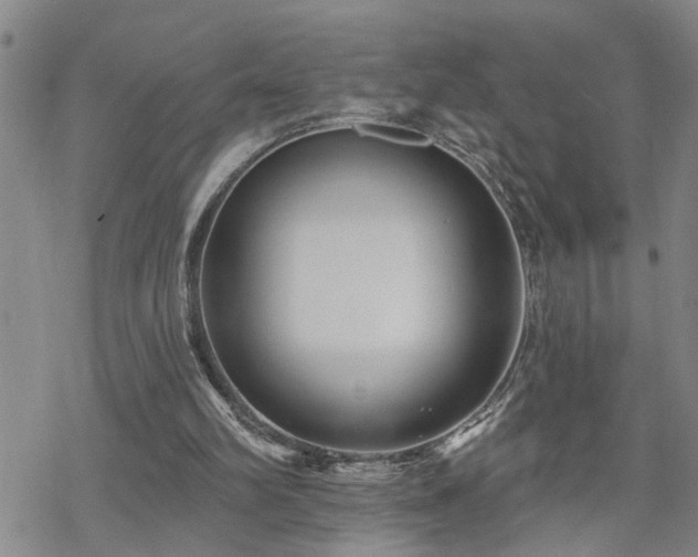 X0000070360102200606091041