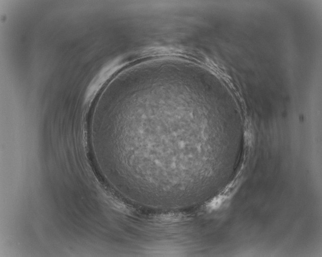 X0000070360103200606091041